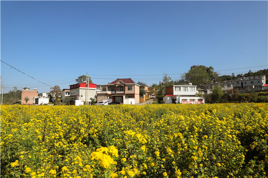 信陽市商城縣：匠心打造宜居宜業和美鄉村_fororder_鄉村美産業旺 羅玉蘭攝 - 復件(1)