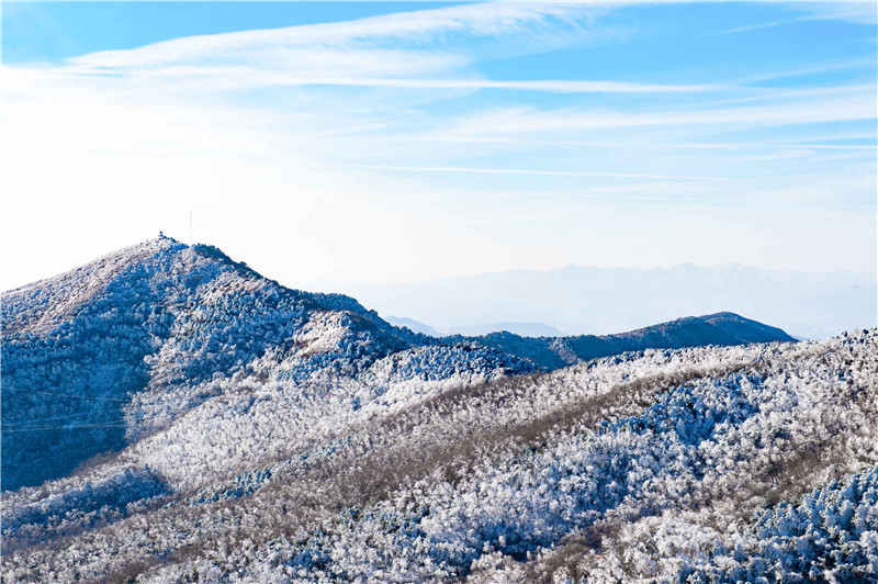 三門峽澠池：雪國天境美如畫_fororder_皚皚白雪將群山裝扮得分外妖嬈 攝影 楊波