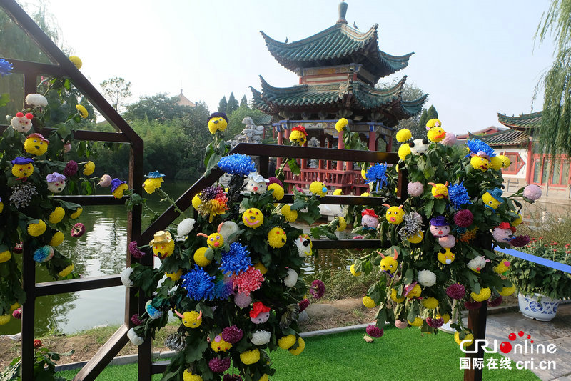 【河南原創】開封：“千菊進萬家” 菊香飄滿城