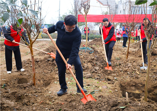 南陽市新野縣開展冬季義務植樹活動_fororder_義務植樹活動現場 攝影 廉少鵬