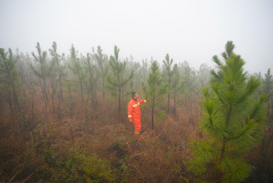 守好這一庫碧水——探訪南水北調中線工程水源地丹江口庫區