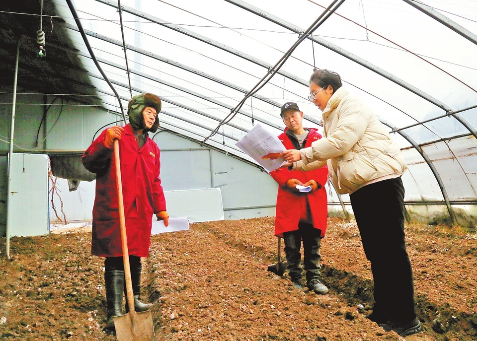 零下10℃線維持在河南沿黃一帶 需重點關注極端低溫及其持續影響