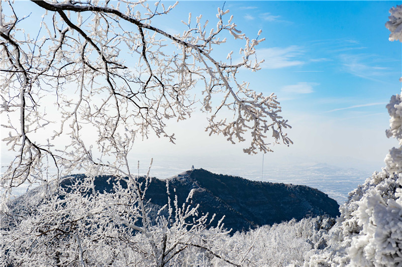 三門峽澠池：雪國天境美如畫_fororder_霜凍枝頭 攝影 楊波