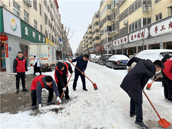 週口市鄲城縣審計局開展破冰除雪志願服務活動_fororder_圖片5