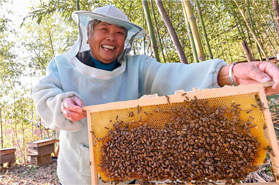 信陽新縣建設蜂産業示範園 著力打造“蜜蜂王國”_fororder_喜上眉梢 （吳丹 攝）