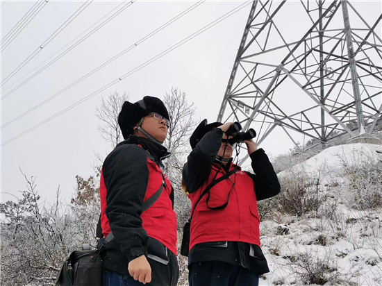 國網三門峽供電公司：電能奔涌 聚力實幹見證發展之“勢”_fororder_國網三門峽供電公司開展企業走訪 攝影 王兵