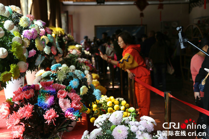 【豫見國際㊻】開封菊花香飄世界 海內外賓朋盛讚魅力“菊城”