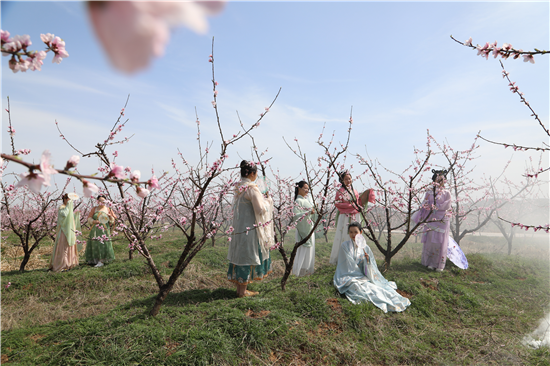 信陽市光山縣第七屆斛山桃花文化節開幕_fororder_圖片2