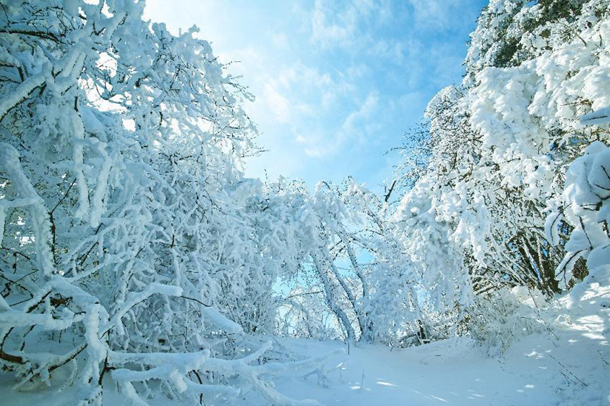 平頂山魯山：冰雪世界春有約