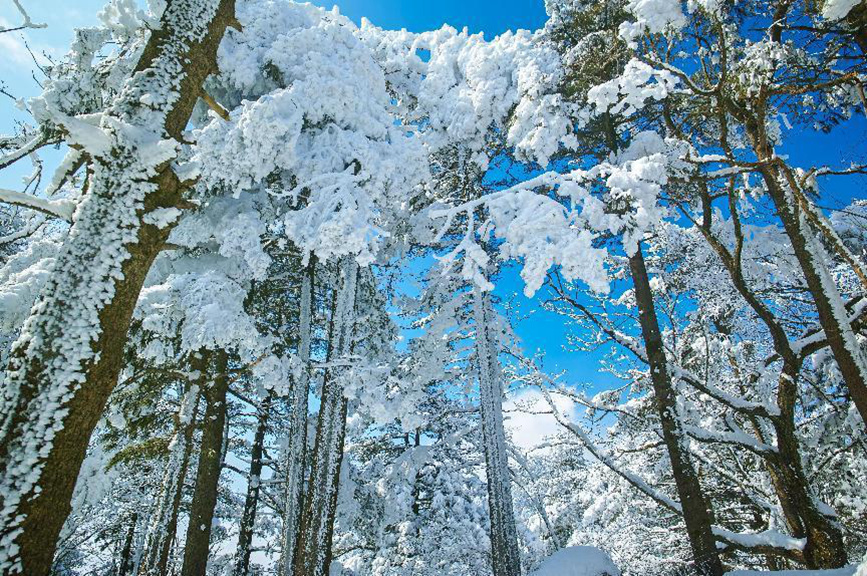 平頂山魯山：冰雪世界春有約