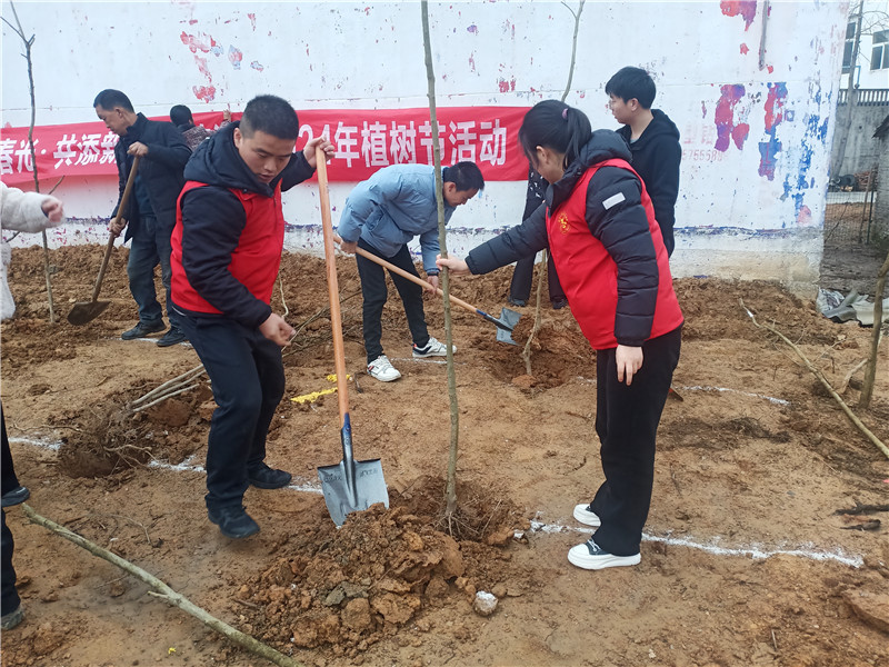 信陽新縣開展2024年春季全民義務植樹活動_fororder_植樹活動  新縣宣傳部供圖