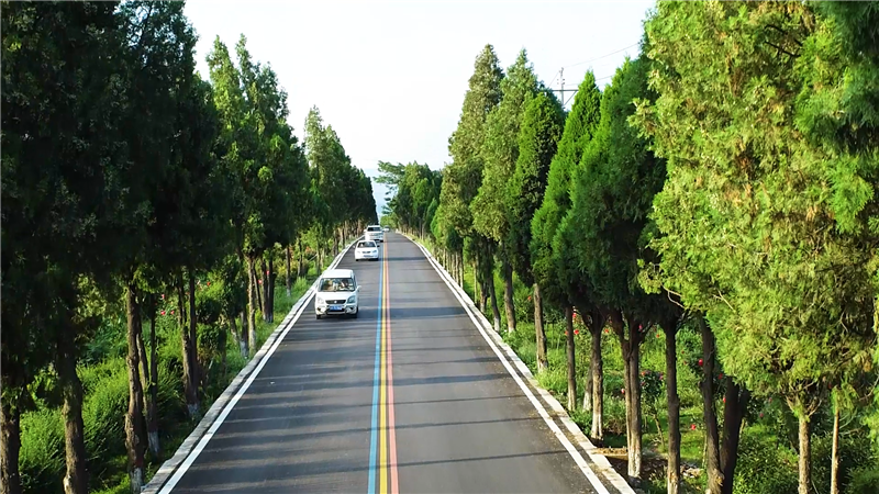 三門峽市澠池縣構建“三大體系” 讓交通更通暢_fororder_通向仰韶村遺址的彩虹路 攝影 馮琳