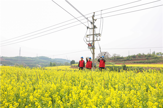 國網濟源供電公司在全省率先實現“村網共建”供電所全覆蓋_fororder_圖片7