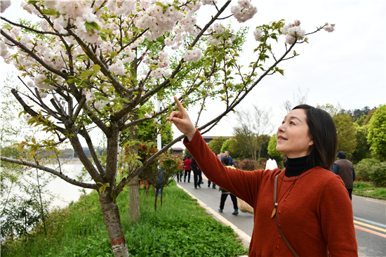 信陽市潢川縣舉辦第六屆“浪漫櫻花·鄉約連崗”文化旅遊節_fororder_圖片6