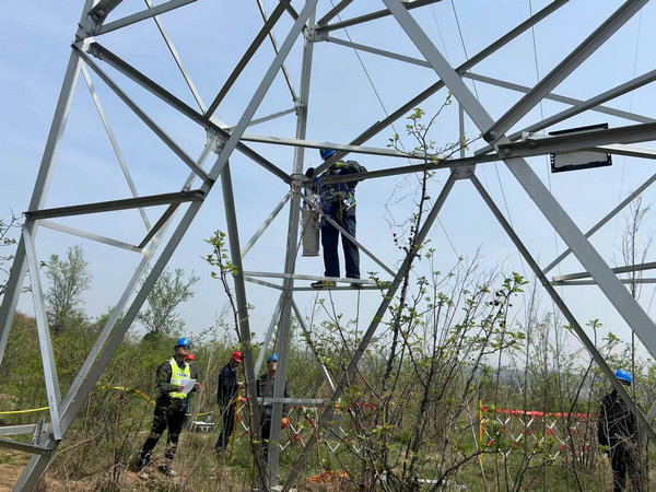 國網三門峽供電公司：加裝“防蛇刺” 築牢線路“安全堤”_fororder_國網三門峽供電公司加裝輸電線路防鳥刺 攝影 司丞坤