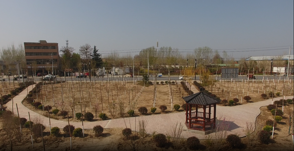 【原創】七座口袋公園扮靚開封市杞縣 織就群眾幸福錦繡圖_fororder_1