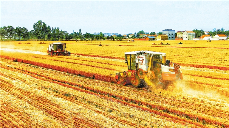 河南省麥收已過八成