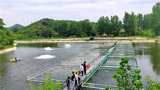 信陽市浉河區：小魚苗“遊”出大産業_fororder_養殖基地引客來 王乾迎 攝