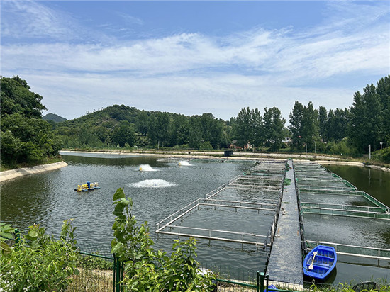 信陽市浉河區：小魚苗“遊”出大産業_fororder_生態養殖環境好 王乾迎 攝