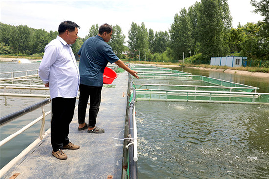 信陽市浉河區：小魚苗“遊”出大産業_fororder_技術人員向網箱中撒魚食 陳丹妮 攝