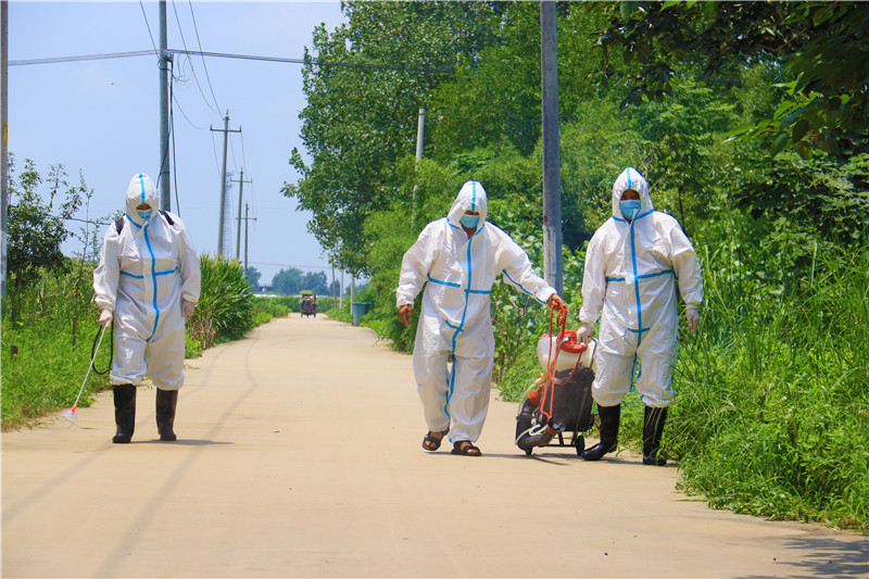 南陽市新野縣：搶抓時機 恢復生産_fororder_施庵鎮鎮村醫務人員進行消殺作業.JPG