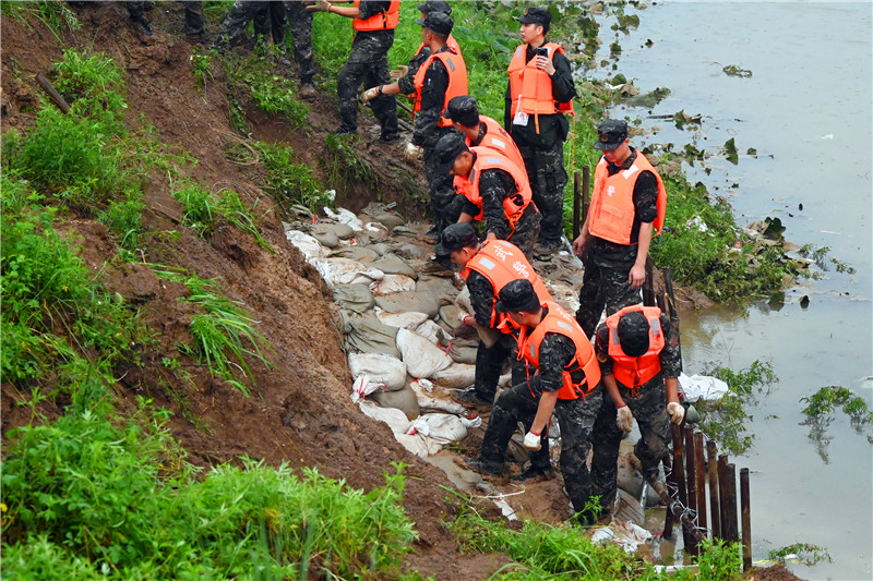 南陽市社旗縣：眾志成城防大汛_fororder_武警官兵加固潘河大堤 攝影 申鴻皓