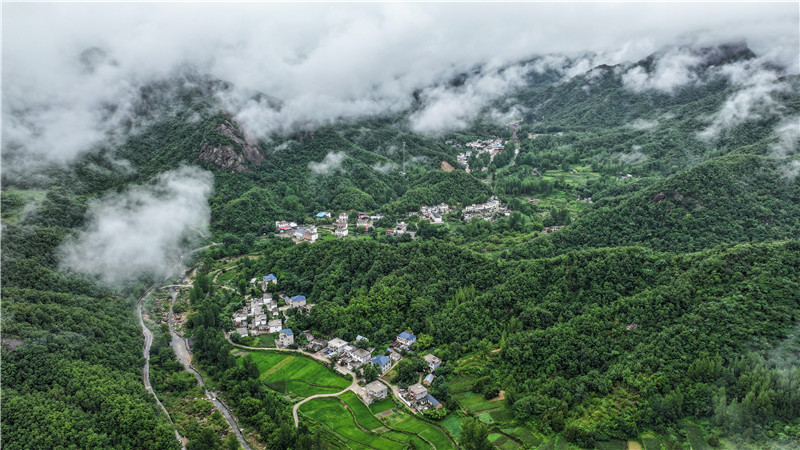 平頂山魯山石林路：雲霧繚繞美如畫_fororder_DJI_20240715152940_0055_D