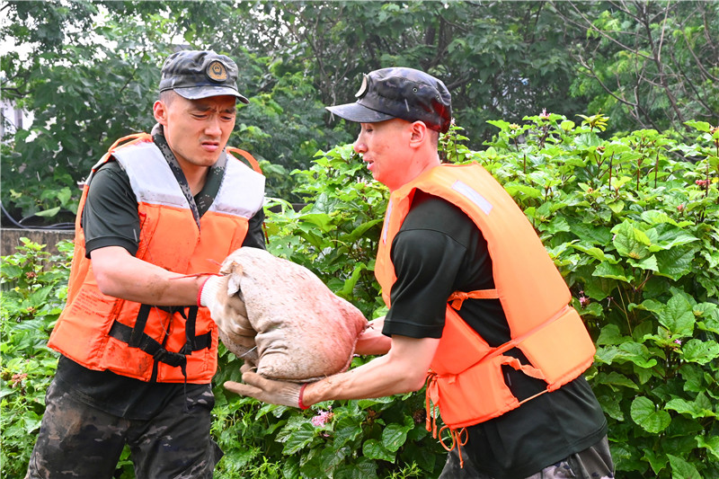 南陽市社旗縣：眾志成城防大汛_fororder_武警官兵轉運防汛沙袋 攝影 申鴻皓