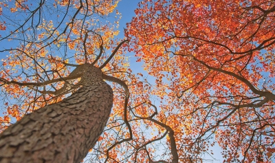 多彩汝州 紅遍中原