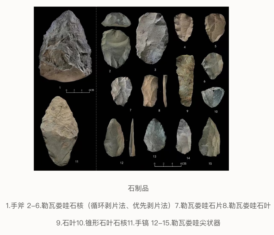 中肯舊石器聯合考古取得新成果