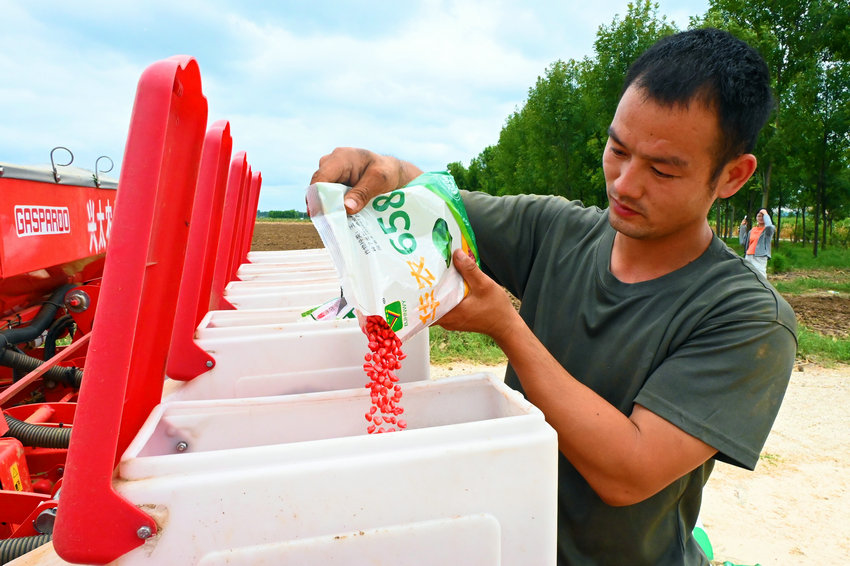 南陽社旗：恢復生産 補種減損_fororder_農民往播種機裏添加玉米種子 攝影 申鴻皓