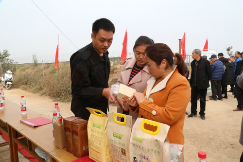 【河南供稿】河南大學特色小麥試驗基地落戶焦作溫縣