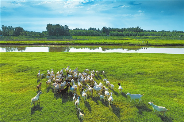 河南降水後恢復重建標誌性水利工程——賈魯河綜合治理工程通過完工驗收_fororder_p53_s