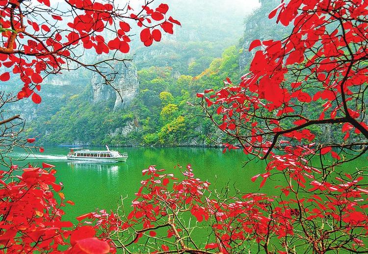 焦作青天河景區：碧水映紅葉 青林點白雲