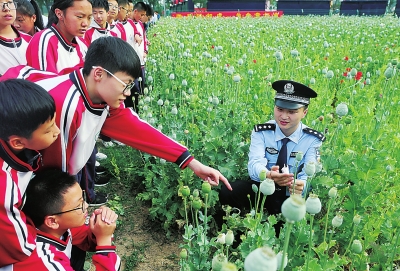 【要聞-文字列表】河南省禁毒辦組織青少年探訪毒品原植物 識別宣傳