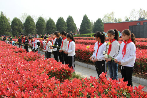 【河南供稿】平頂山市魯山縣軍地共建 育出雙擁花