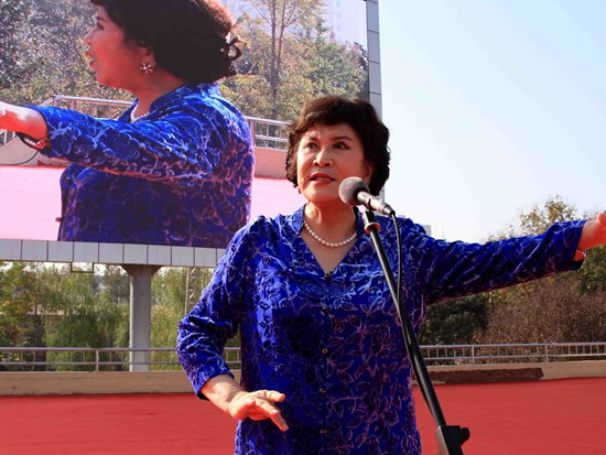 平頂山紅鷹黨建巡迴展演葉縣舉行