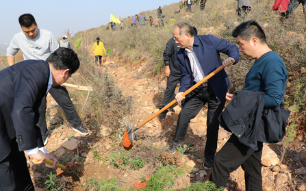 【河南供稿】一天栽樹1萬多棵 平頂山市郟縣茨芭鎮600多人拉開冬季造林帷幕