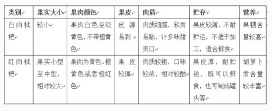 別錯過！初夏水果有四寶