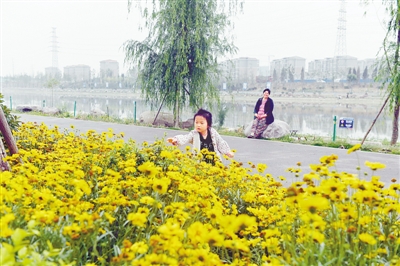 【河南在線-文字列表】復興賈魯河為國家中心城市建設提供水生態保障