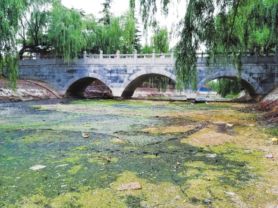 【環保-文字列表】【移動端-文字列表】汴京公園這條景觀河該治理了