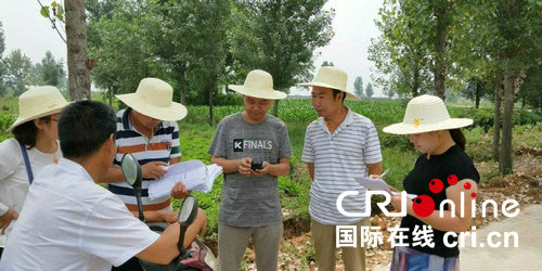 【河南在線-文字列表】河南魯山：加快種植産業獎補核驗 讓貧困戶早日受惠