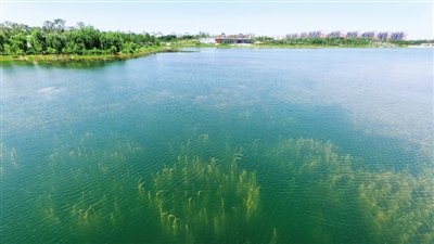 【中原名景-圖片】鄭州的威尼斯：龍湖與龍子湖