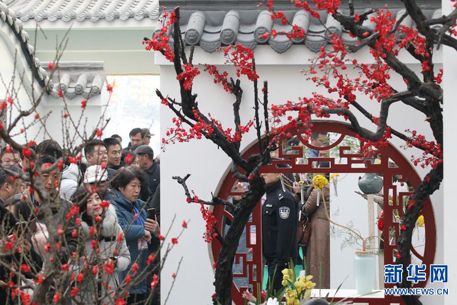 【城市遠洋】【焦點圖-大圖】【移動端-輪播圖】河南鄢陵：蠟梅臘月開 暗香盈鄢陵