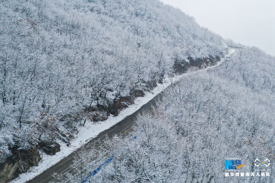 【城市遠洋】【焦點圖-大圖】【移動端-輪播圖】鄭州首雪 伏羲山仿佛“白色森林”