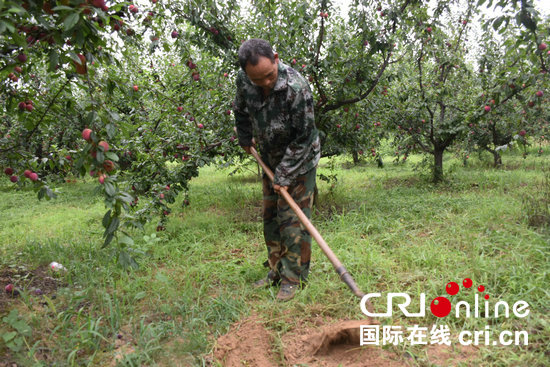 【河南在線-文字列表】【移動端-文字列表】小雜果變成脫貧果 貧困戶的日子過得越來越好