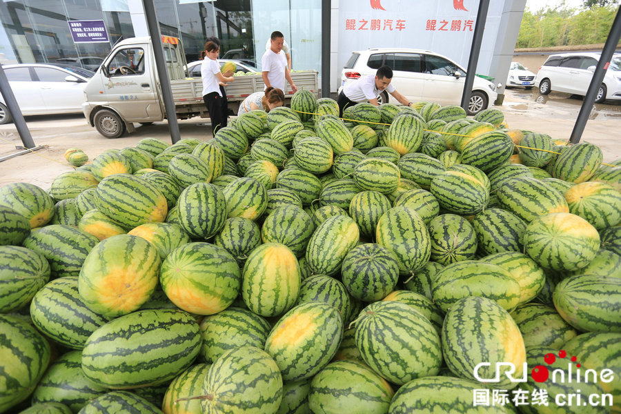 【焦點圖-大圖】【 移動端-焦點圖】【圖説1】鄭州小夥精準扶貧：購十萬斤愛心西瓜免費送