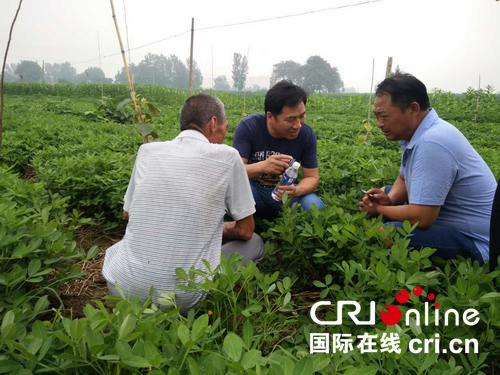 【河南在線-文字列表】【移動端-文字列表】郟縣農業科技服務團 科技扶貧成精準脫貧“加速器”