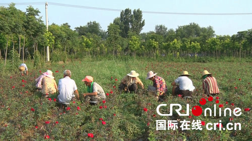 【河南在線-文字列表】【移動端-文字列表】河南魯山：打造強勁電力“引擎” “照亮”脫貧之路