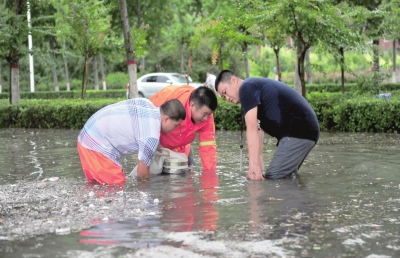 【豫見國際-圖片（頁面標題：文明是永不停歇的幸福接力）】【 移動端-焦點圖】濮陽：文明是永不停歇的幸福接力